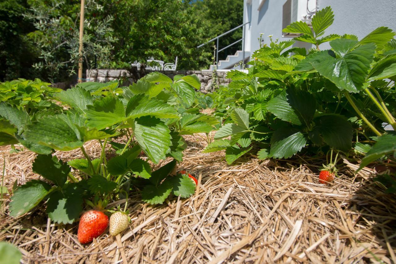 Organic Gardens Villa Цриквеница Экстерьер фото