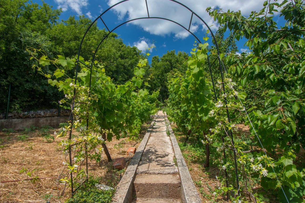 Organic Gardens Villa Цриквеница Экстерьер фото